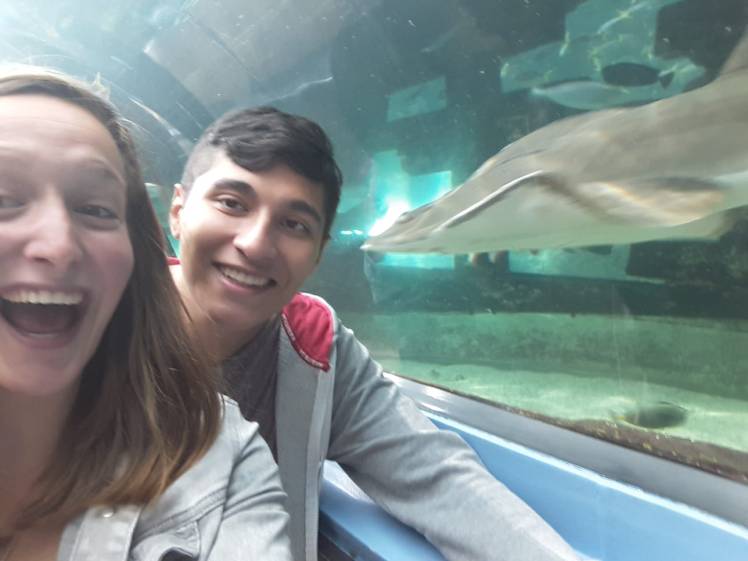 63281599-050e-4fa2-a509-ec3b66d3bd08