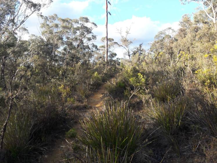 ac3c49f8-68d4-4ca7-90b7-8c719566095d