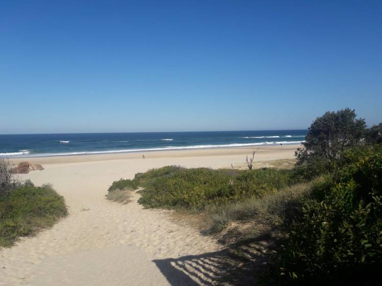 8c20427e-ad15-40ca-bf80-2d83fe20f669