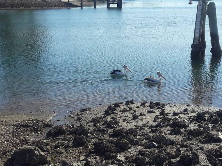 b3d41462-6c65-461d-9752-4efa2f7efcf6