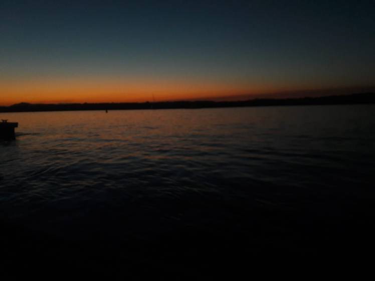 c570ed42-fc3e-404c-80e4-dc04c2354fac