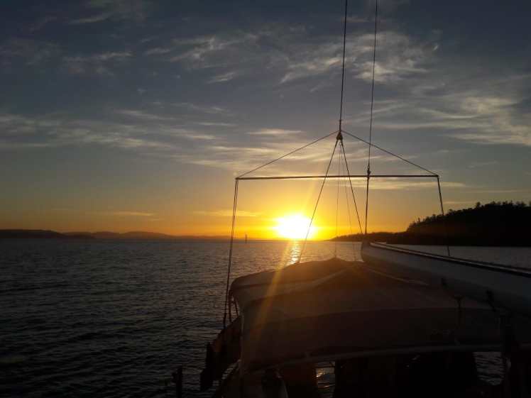 17C1A498-2517-486E-ACA3-440FDD711362