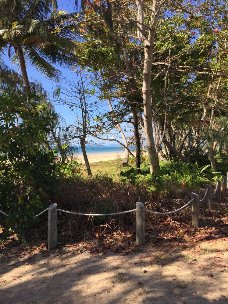 FC283685-0EFB-4EFD-B803-5258837325A6