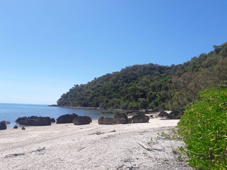 FE43F5FD-5011-47CD-A41A-F00980EF9D23