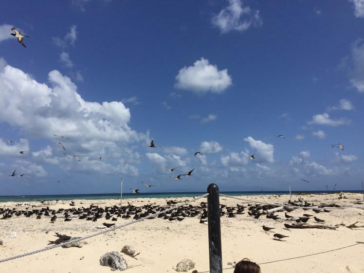 B36E35C3-9F29-4696-9165-21574CFB6658